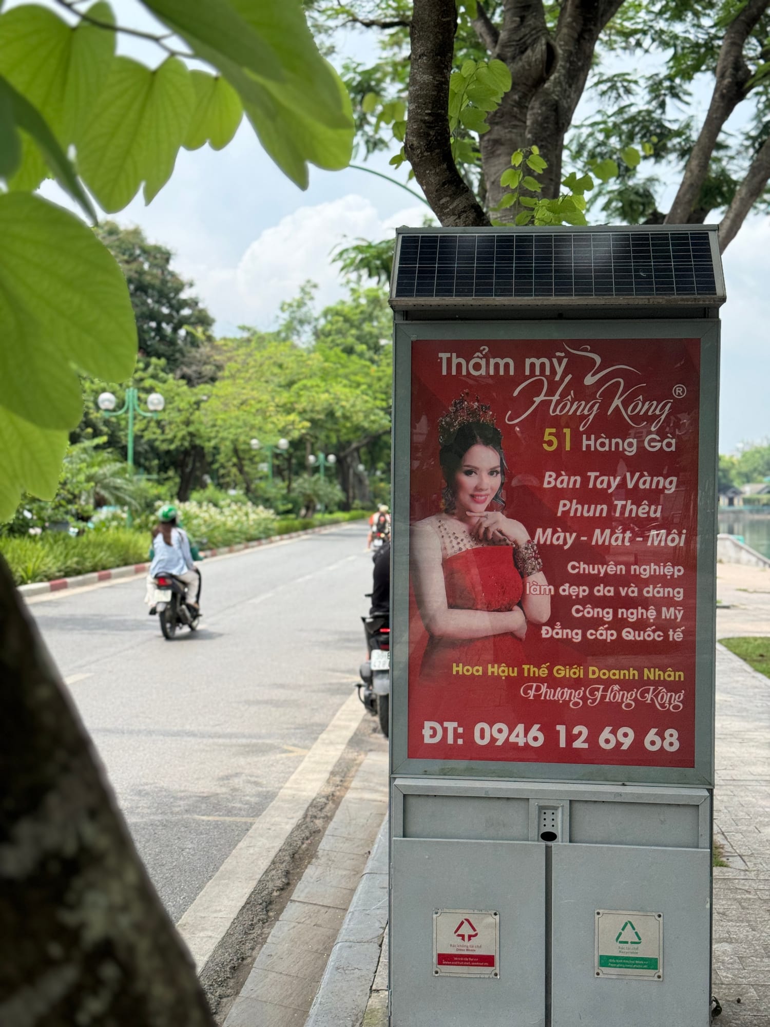 Poster nhìn dưới tán cây xanh